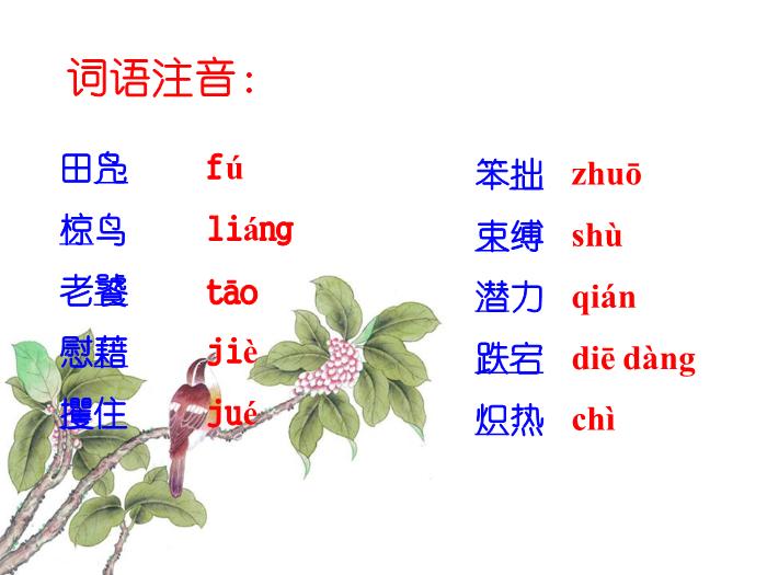TOP402016春高中語文（蘇教版必修二）教學課件：第一專題 《鳥啼》（共46張PPT）.ppt文檔免費在線閱讀第8頁