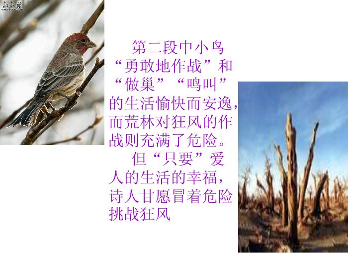 TOP31語文北師大版必修二1.3《我愿意是急流》課件（共41張PPT）.ppt文檔免費在線閱讀第10頁