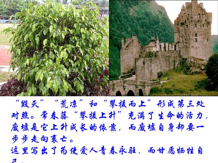 TOP31語文北師大版必修二1.3《我愿意是急流》課件（共41張PPT）.ppt文檔免費在線閱讀第12頁