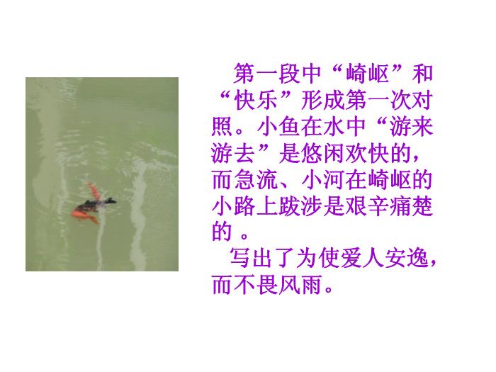 TOP31語文北師大版必修二1.3《我愿意是急流》課件（共41張PPT）.ppt文檔免費在線閱讀第8頁