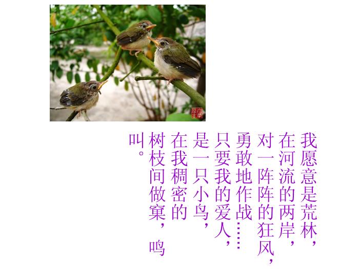 TOP31語文北師大版必修二1.3《我愿意是急流》課件（共41張PPT）.ppt文檔免費在線閱讀第9頁