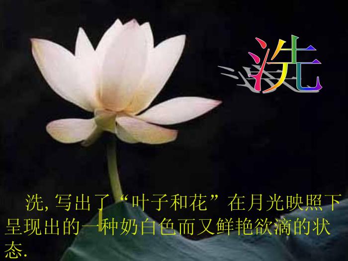 422016春高中語文（蘇教版必修二）教學課件：第四專題 《荷塘月色》（共49張PPT）文檔第14頁