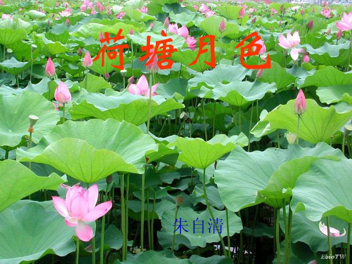 422016春高中語文（蘇教版必修二）教學課件：第四專題 《荷塘月色》（共49張PPT）文檔第2頁