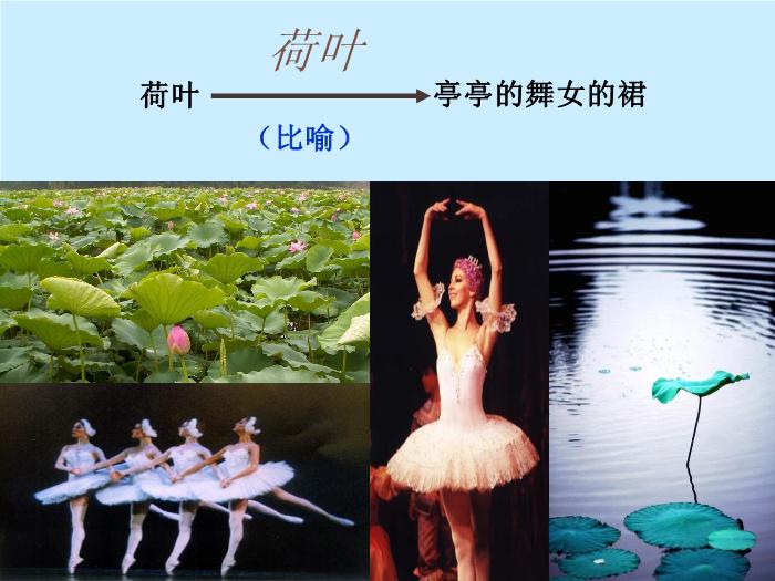 422016春高中語文（蘇教版必修二）教學課件：第四專題 《荷塘月色》（共49張PPT）文檔第8頁