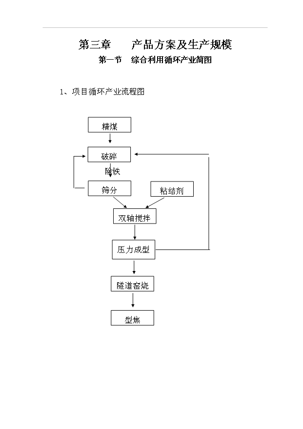 （項目成果）3萬噸型焦項目可行性論證申報材料（華經縱橫）