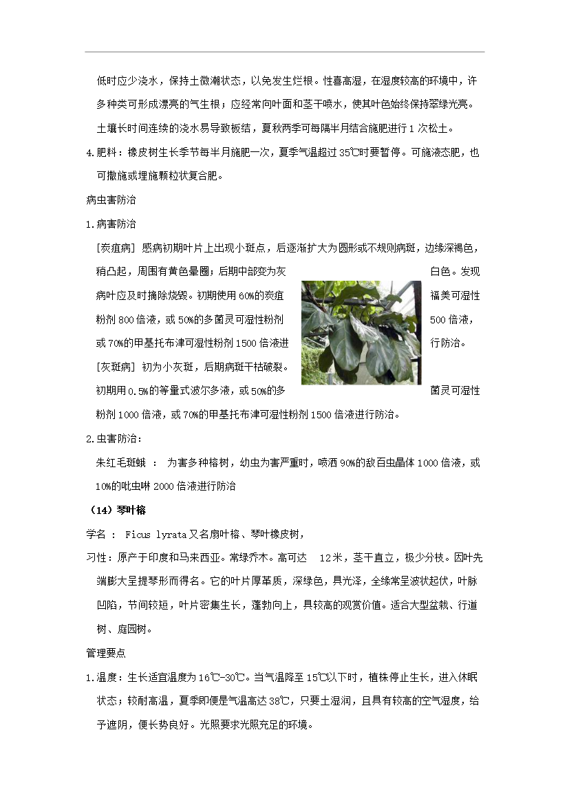 萬科物業綠化養護手冊1_全套完整第13頁