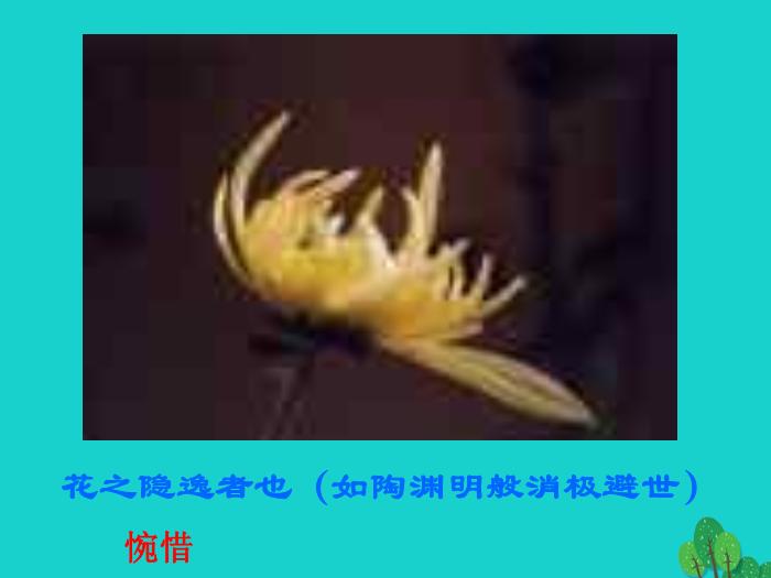八年級語文上冊第五單元22《愛蓮說》課件新人教版PPT文檔（        25頁）第13頁