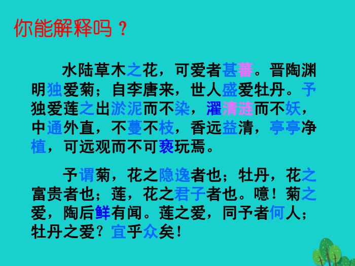 八年級語文上冊第五單元22《愛蓮說》課件新人教版PPT文檔（        25頁）第5頁