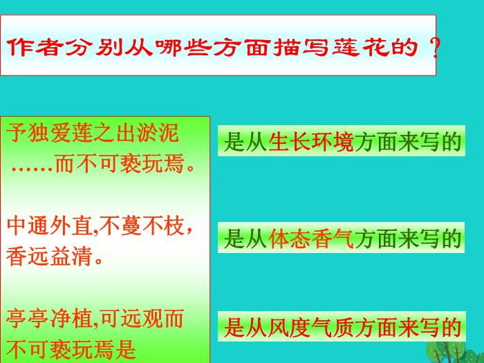 八年級語文上冊第五單元22《愛蓮說》課件新人教版PPT文檔（        25頁）第8頁