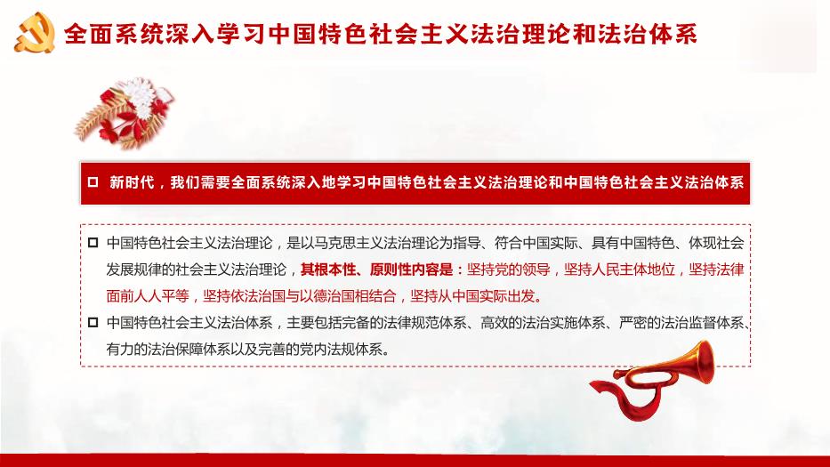 習近平法治思想教育宣傳專題黨課PPT課件第12頁