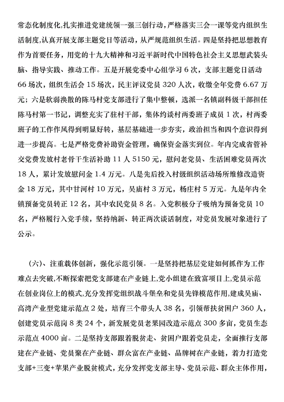 鎮2018年黨建工作總結暨2019年黨建工作計劃第4頁