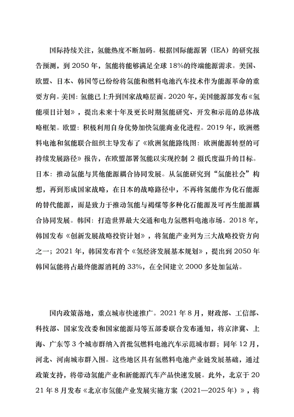 （領導發言）聚焦雙碳重大愿景 發展氫能綠色產業黨課講稿第2頁