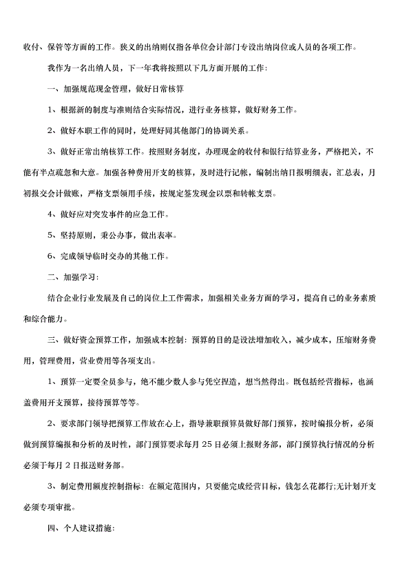 2024財務出納個人工作計劃（31篇）第9頁