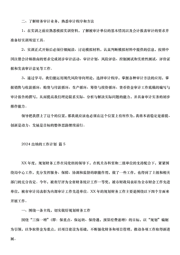 2024出納的工作計劃（35篇）第6頁