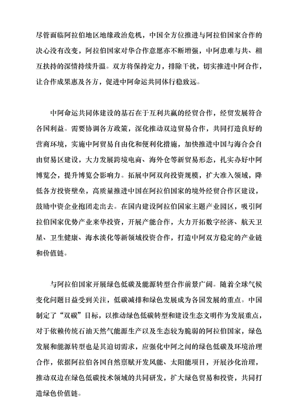 （領導發言）中阿合作行穩致遠惠及各方黨課講稿第4頁
