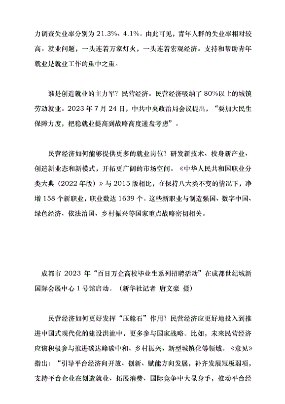 （領導發言）聚焦高質量發展 促進民營經濟發展壯大黨課講稿第5頁