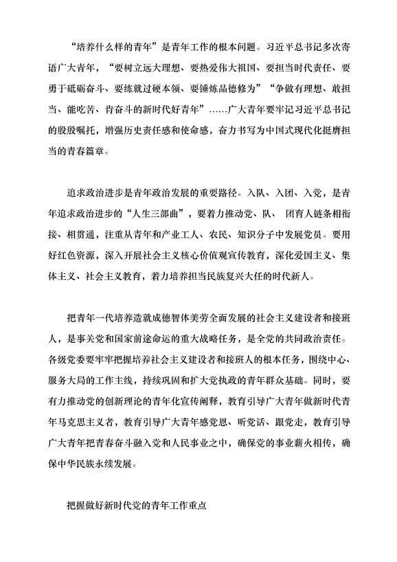 （領導發言）做好新時代黨的青年工作黨課講稿第4頁