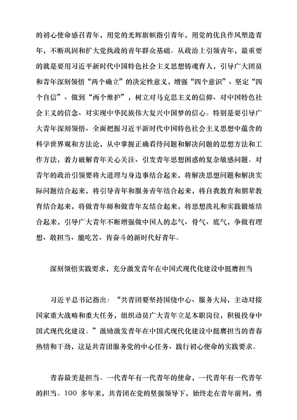 （領導發言）推動新時代青年工作蓬勃發展黨課講稿第4頁