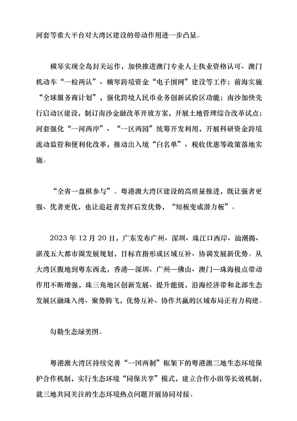 （領導發言）粵港澳大灣區續寫“春天故事”黨課講稿預覽圖（13）