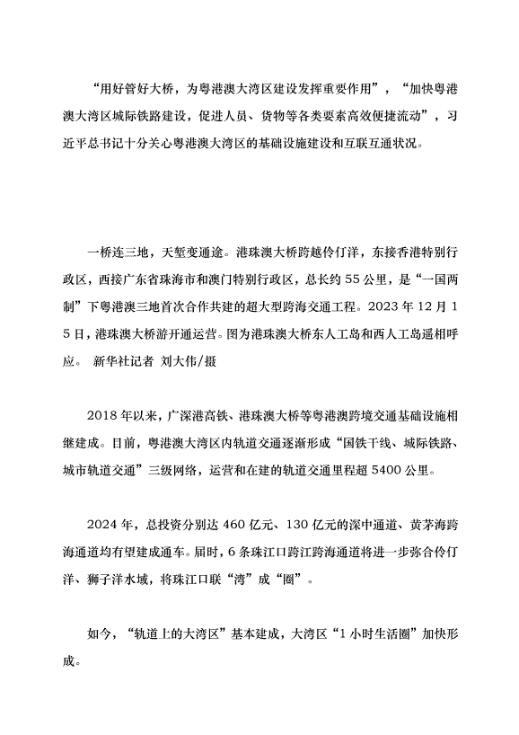 （領導發言）粵港澳大灣區續寫“春天故事”黨課講稿預覽圖（3）
