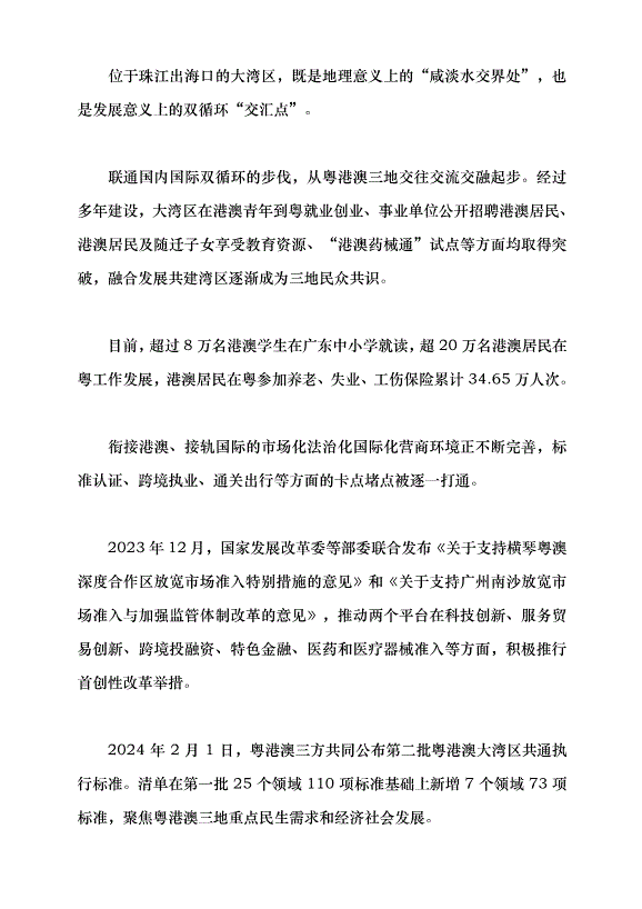（領導發言）粵港澳大灣區續寫“春天故事”黨課講稿預覽圖（6）