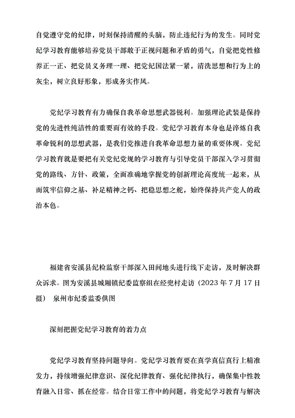 （領導發言）以鐵的紀律推進偉大自我革命黨課講稿第4頁